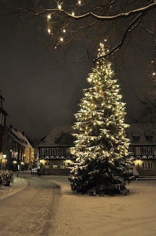Winterimpressionen   060.jpg